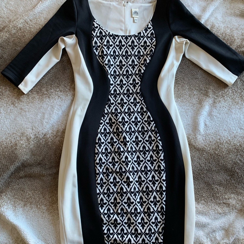 🖤🤍 Sangria Black and White Bodycon🤍🖤